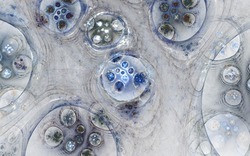 2015 03 08 Endless Night 007-white.jpg